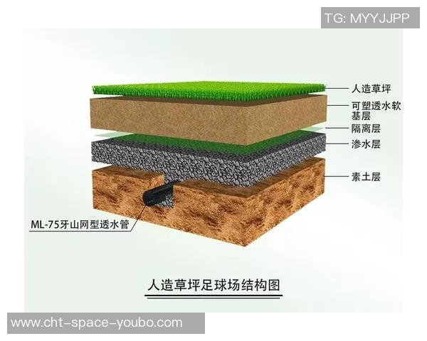 足球场草坪构造的科学分析与维护技巧探讨